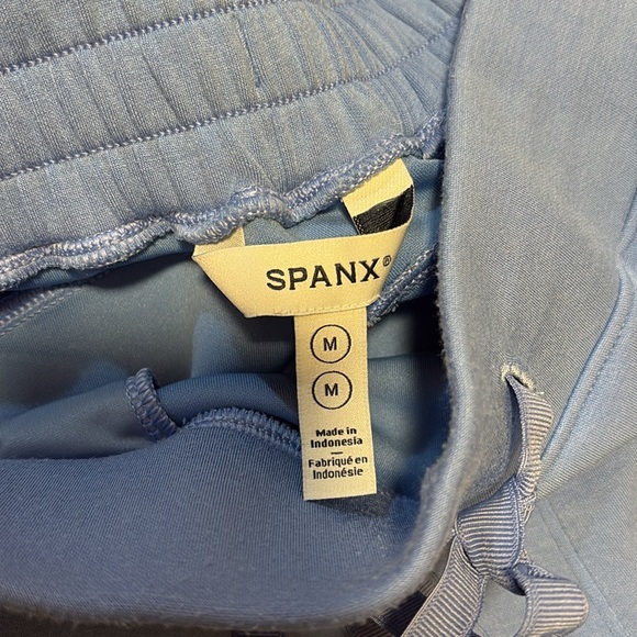 Spanx AirEssentials Jogger in Cornflower - Picture 2 of 3